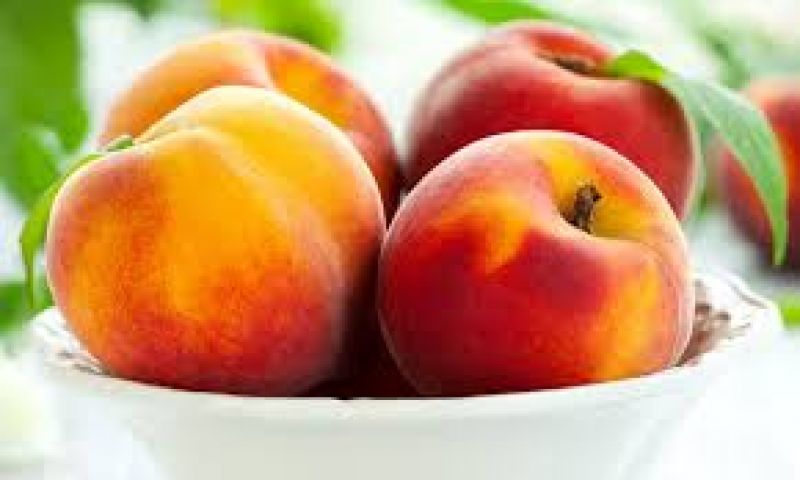 आड़ू (peach) के गुणकारी महत्त्व