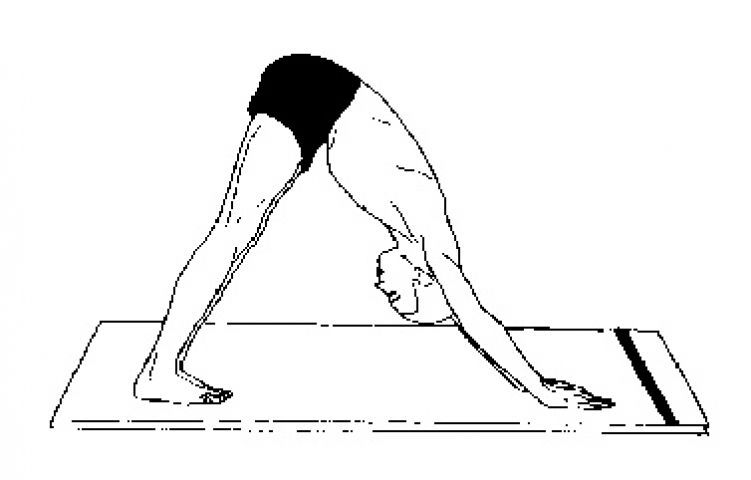 Mountain Yoga Pose,पाठदुखी आणि खांद्यांच्या मजबुतीसाठी नियमित करा  पर्वतासनाचा अभ्यास - parvatasana yoga pose - Maharashtra Times