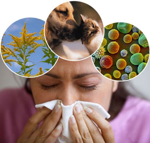एलर्जी क्या है, कारण और निदान