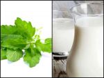 तुलसी के पत्तो वाला दूध पियो होंगे कई फायदे