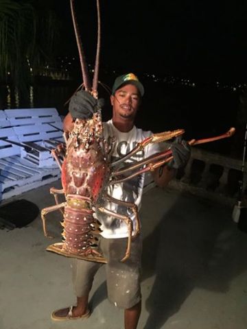 Monster Lobster found in Bermuda!!