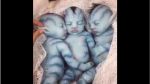 Adorable 'Avatar babies' gaining popularity on internet !