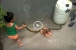 VIDEO : जब एक 2 साल का बच्चा खेलने लगा सांप से