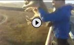 इंसानियत को शर्मसार कर देने वाला वीडियो, आदमी ने छत पर से फैंका मासुम कुत्ते को