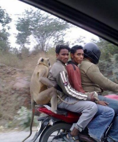 Weird things that can happen only in India !