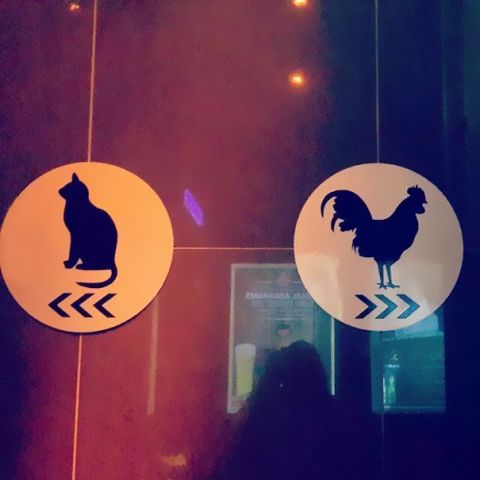 You will think twice after looking these creative toilet signs