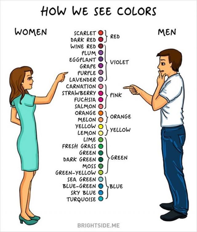 illustration between man vs women