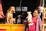 Dog lover women, meet Amee Mendees with 43 dogs