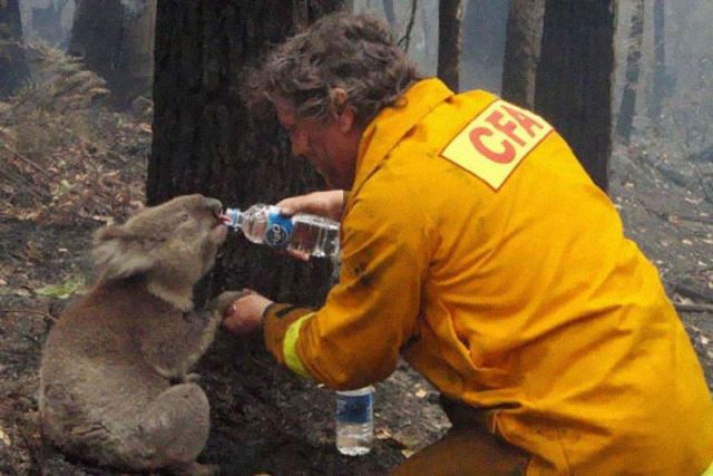 These pictures from over the world will melt your heart !