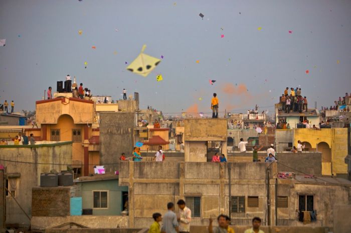 Kite-Flying-in-Gujarat_5874864d9a066