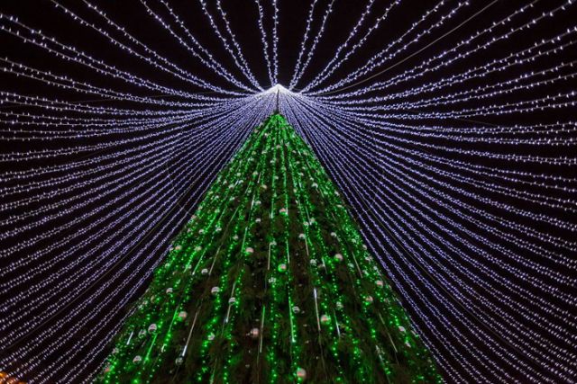 Majestic pictures of 'Christmas Tree' lit with 50,000 light bulbs!!