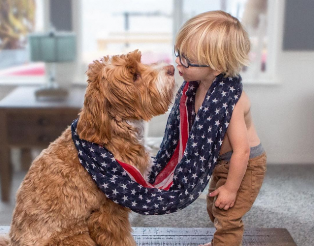 Adorable pictures of 'Labrador and a 3-year-old boy'!!