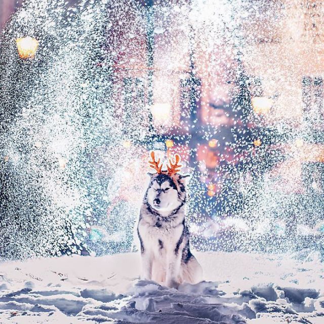 Moscow's x-mas photographs will be going to astonish you!!