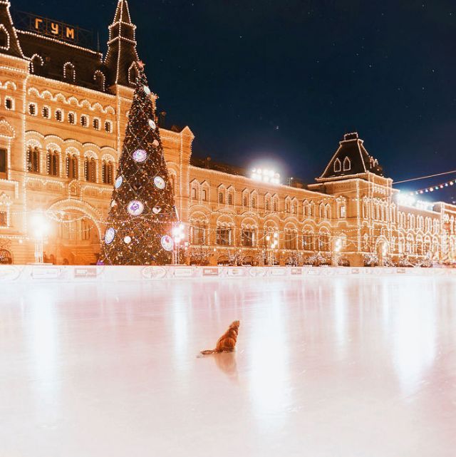 Moscow's x-mas photographs will be going to astonish you!!