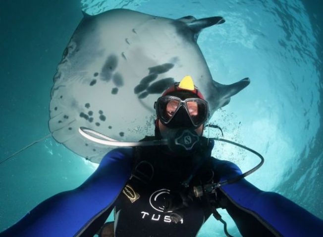 Beautiful 'selfies' taken inside the water will amaze you