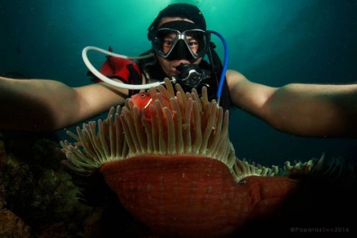 Beautiful 'selfies' taken inside the water will amaze you