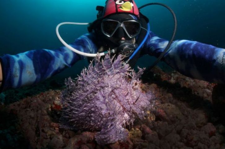 Beautiful 'selfies' taken inside the water will amaze you