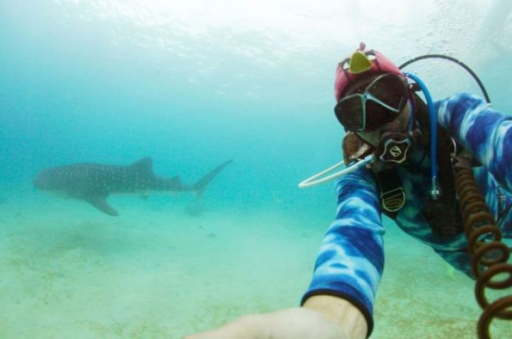 Beautiful 'selfies' taken inside the water will amaze you