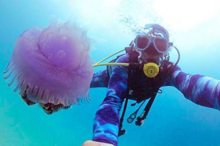 Beautiful 'selfies' taken inside the water will amaze you