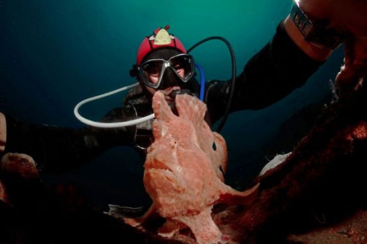 Beautiful 'selfies' taken inside the water will amaze you