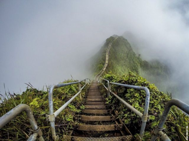 Reach on top! By climbing 3922 stairs of Oahu island !