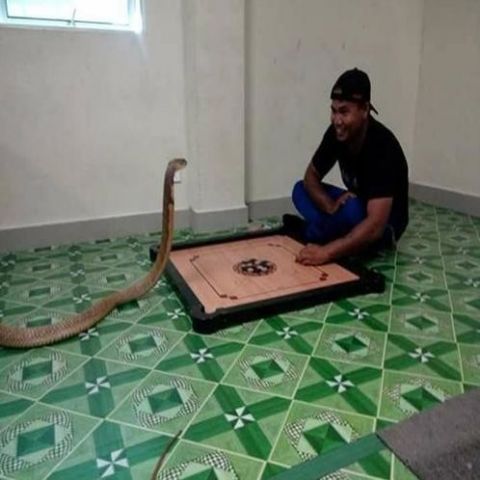 Man married to a cobra snake! But why he did this??
