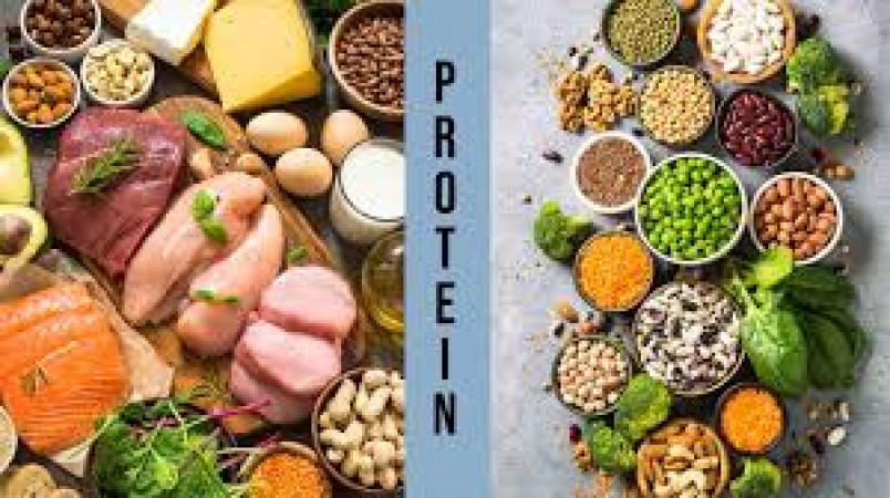 Know the benefits of animal protein