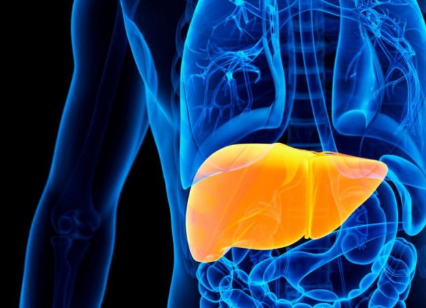 Does Fatty Liver Increase the Risk of Heart Attack? Unveiling Expert Opinions