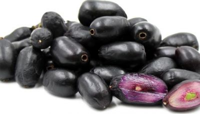 Black Berries can provide relief from AIDS and cancer