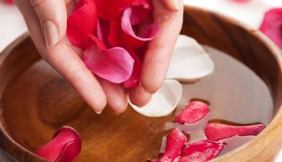 Restore Lost Color in Skincare with Rose Petals