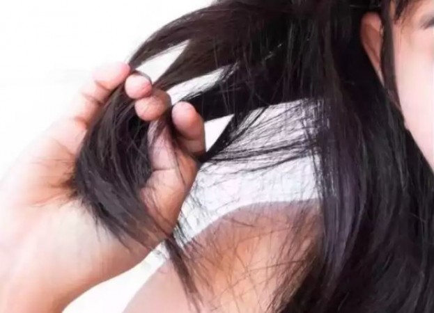 Hair Gets Damaged in Summer! Here's How to Take Care of It