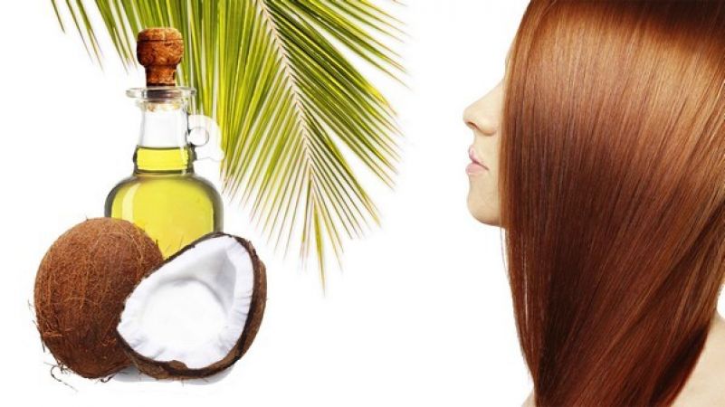 बालों को झड़ने से बचाता है नारियल का तेल