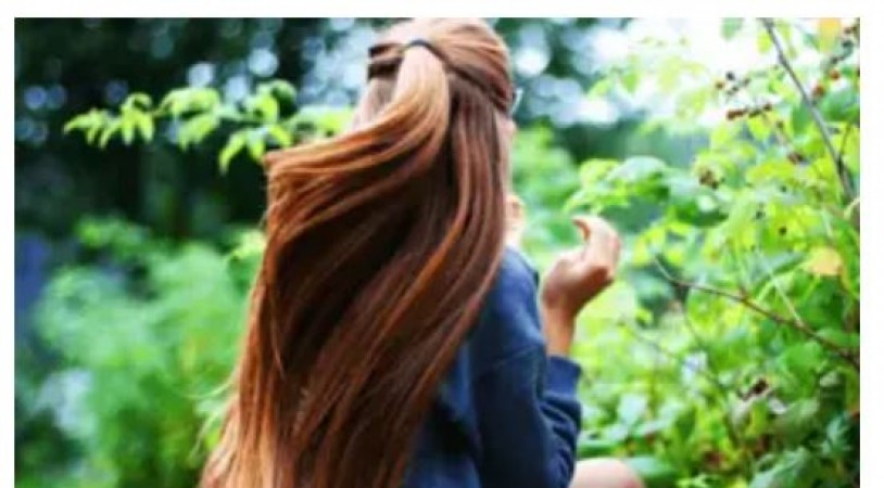 Bitter gourd will give shine to dry hair, know how to use it