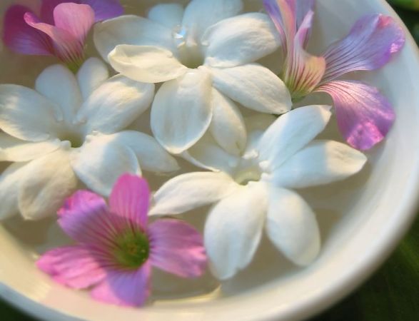 जानिए क्या है चमेली के फूल के सौंदर्य लाभ