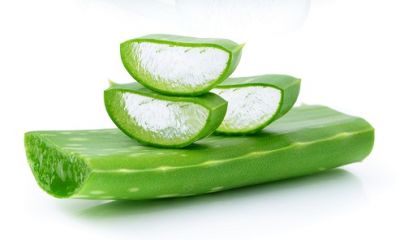 Aloe Vera moisturizes dry skin, know other benefits