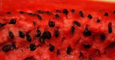 Watermelon seeds are beneficial for your health