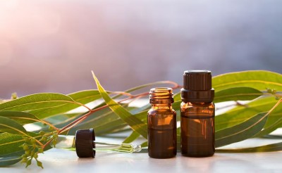 Unlocking the Benefits of Eucalyptus Oil for Skin: Here's How to Use It