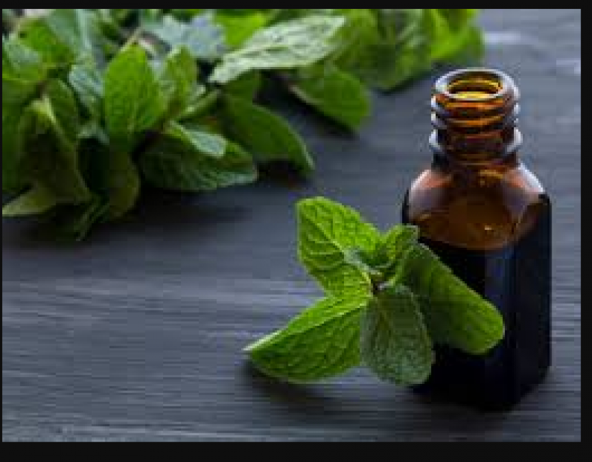 Mint oil is beneficial for skin, follow these tips