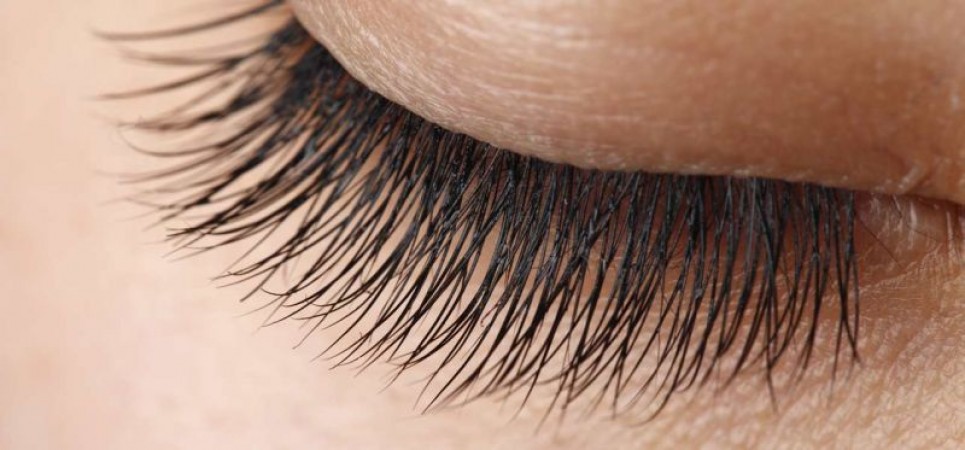 Eyelashes will be long and dense by natural method