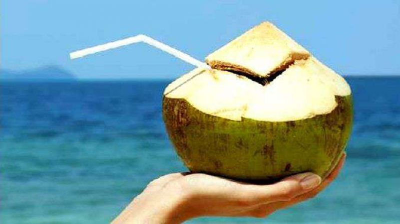 खूब नारियल पानी, होंगे ये फायदे