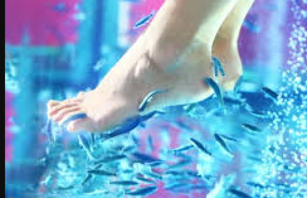 Keep these things in mind while getting fish pedicure