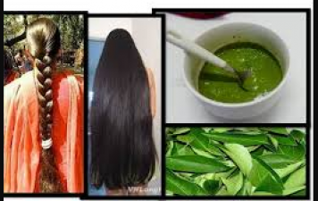 Curry leaf hair mask will give a new life to your hair