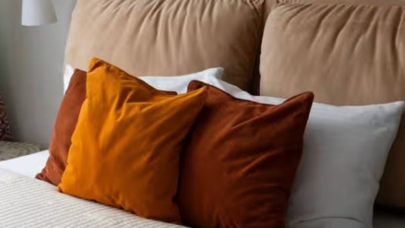 Bacteria are on pillows and sheets more than toilet seats