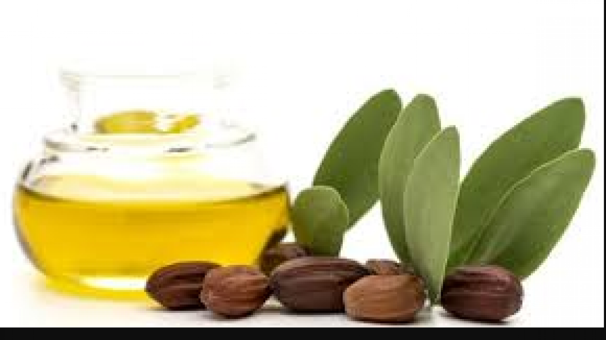Jojoba oil is good for skin and hair, know its benefits