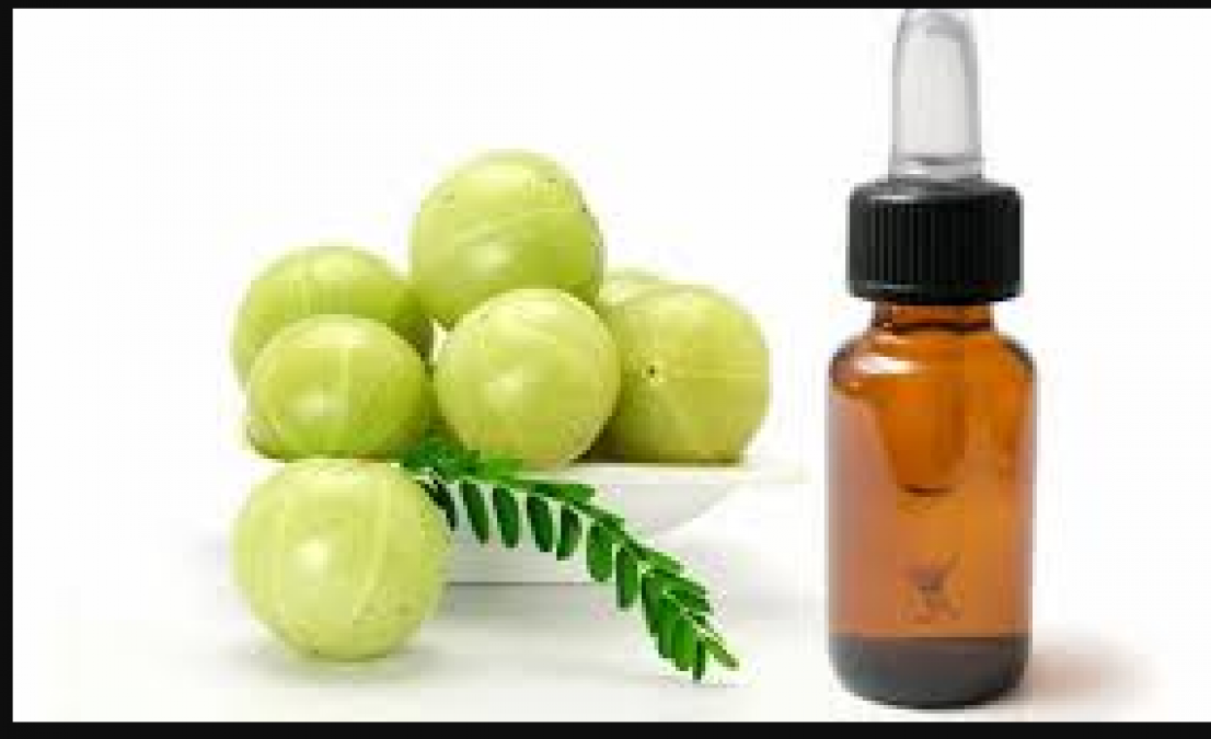 Amla oil is a boon for hair, know its countless benefits
