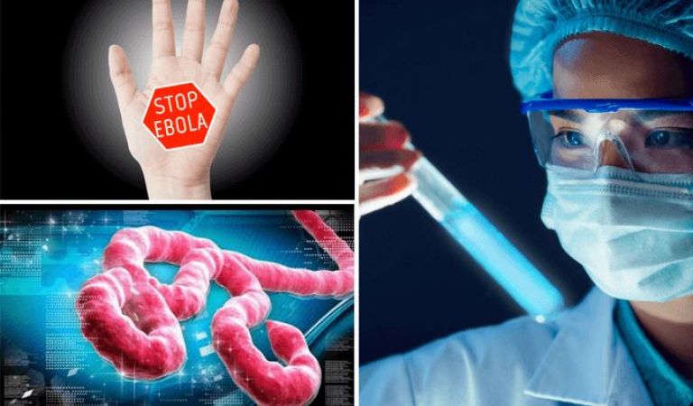 ऐसे फैलता है इबोला वायरस, बचाव के लिए अपनाएं ये तरीके