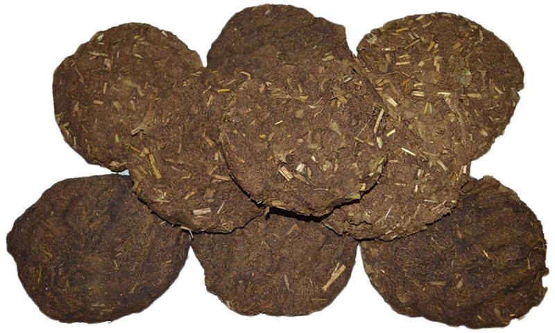 Cow dung removes many types of problems, know its benefits