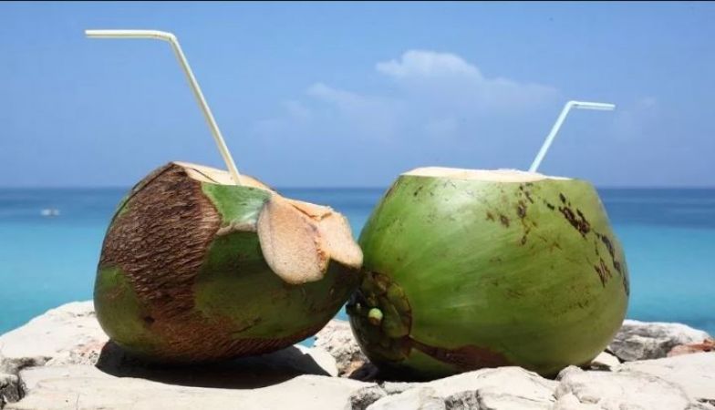 जानिए नारियल पानी से जुड़े लाभ, सेहत के लिए हैं फायदेमन्द