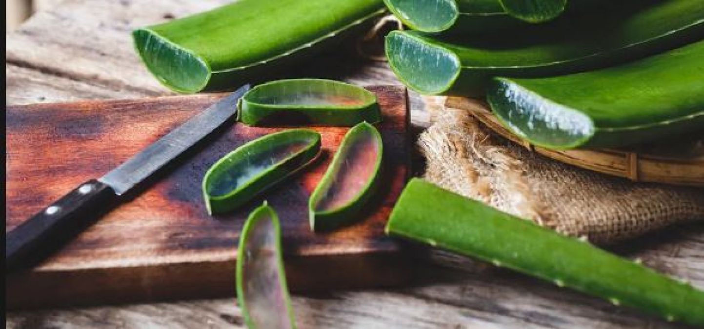 Aloe vera gel also benefits men, know about it
