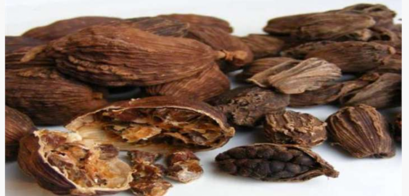 Know amazing benefits of large cardamom